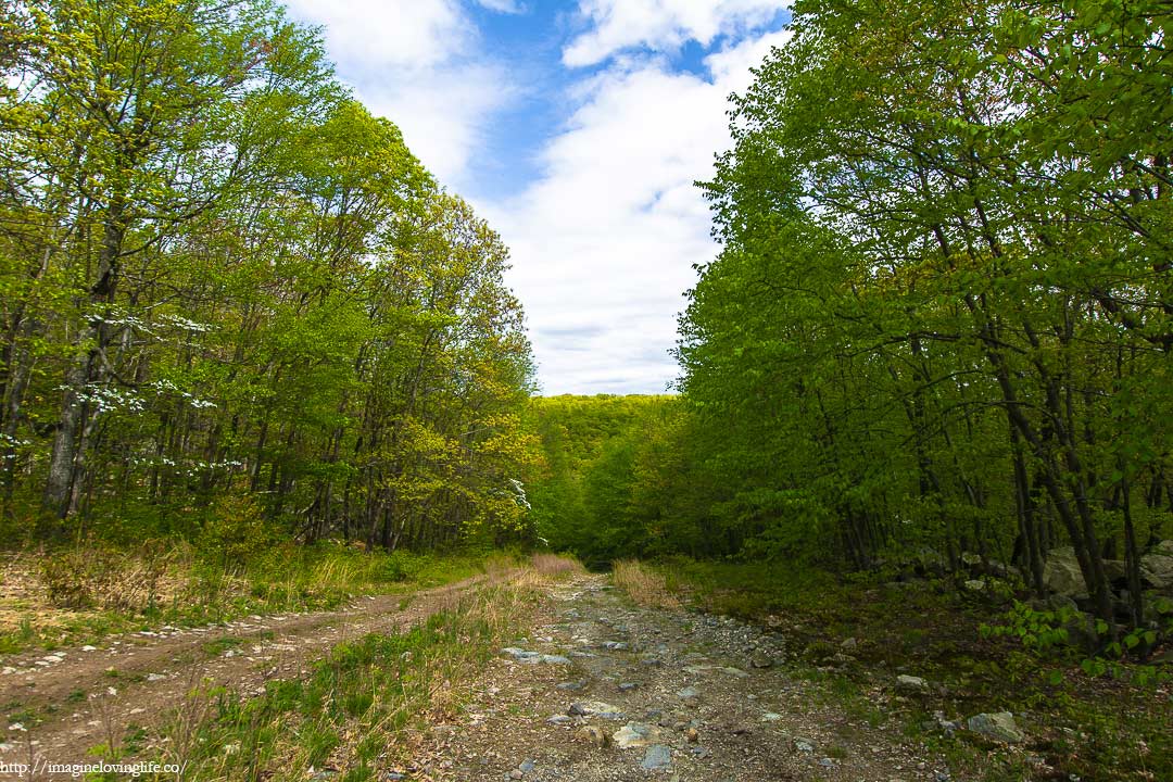 White Trail Descent